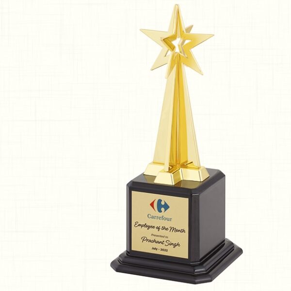 Premium Star Performer Award Trophy