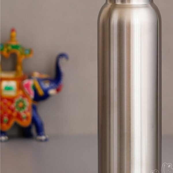 Stainless Steel Single Wall Water Bottle