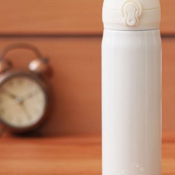 450ml Stainless Steel Double Wall Vacuum Flask