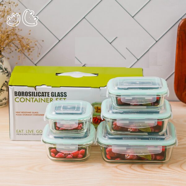 Borosilicate Glass 5-in-1 Container Set with Carry Bag