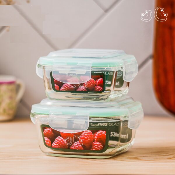 Borosilicate Glass 2 Container Lunch Box Set