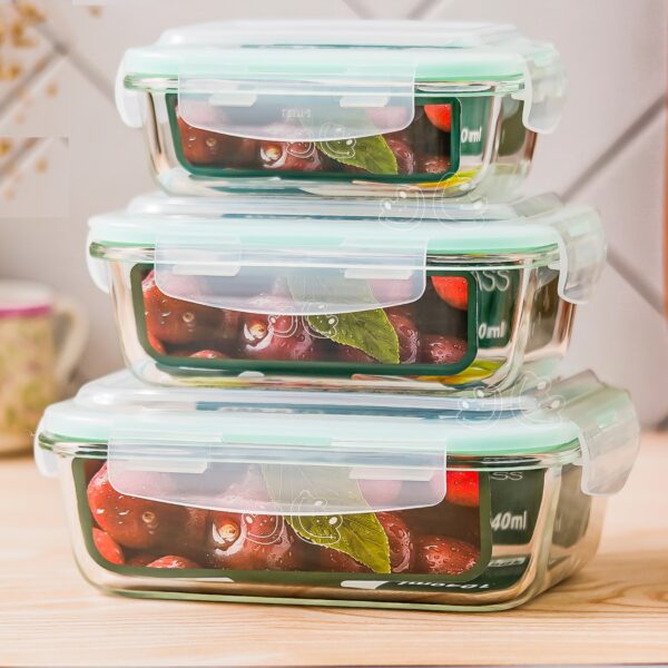 Borosilicate Glass 3 Container Lunch Box Set with Carry Bag